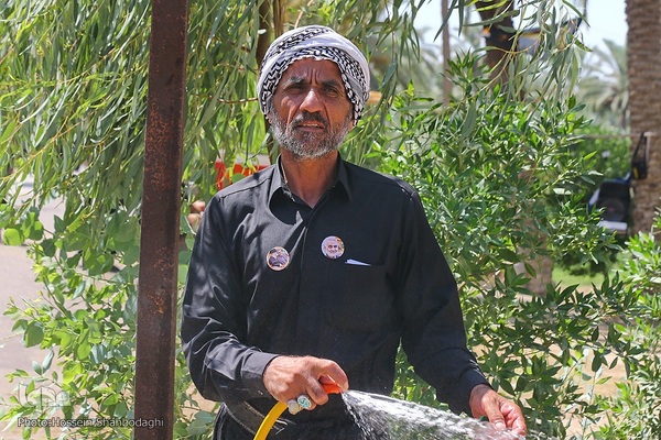 خادمان اربعین