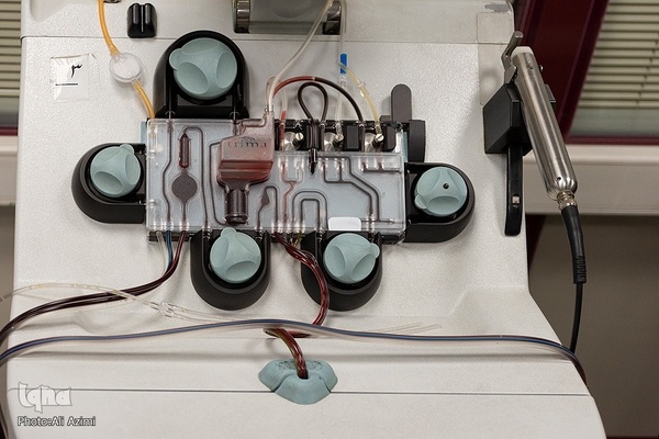 نذر خون در روز اربعین