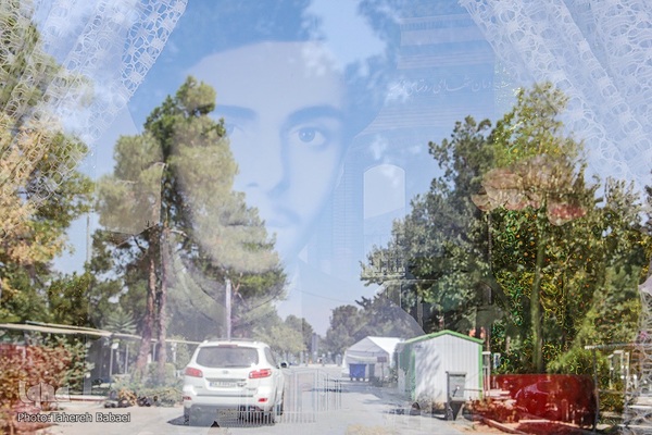 روایت نور و شهدا