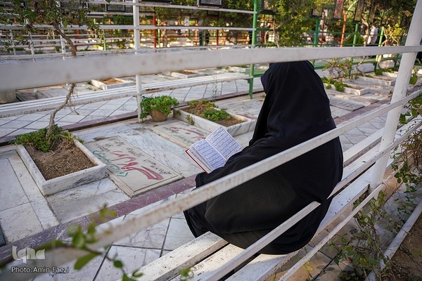 گلباران مزار شهدا در دارالرحمه شیراز