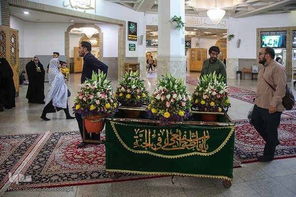 گل آرایی ضریح حضرت معصومه در آستانه سالروز ورود بانوی کرامت