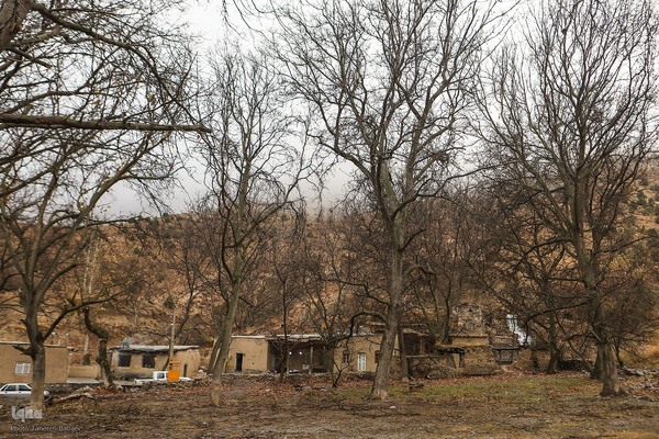 دستاوردهای کمیته امداد در منطقه کلات