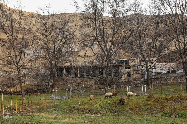 دستاوردهای کمیته امداد در منطقه کلات