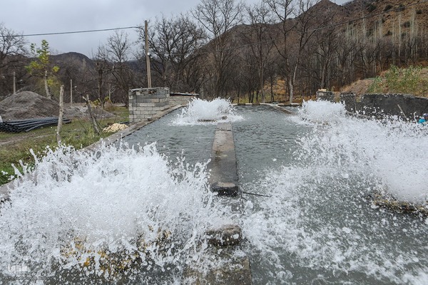 دستاوردهای کمیته امداد در منطقه کلات