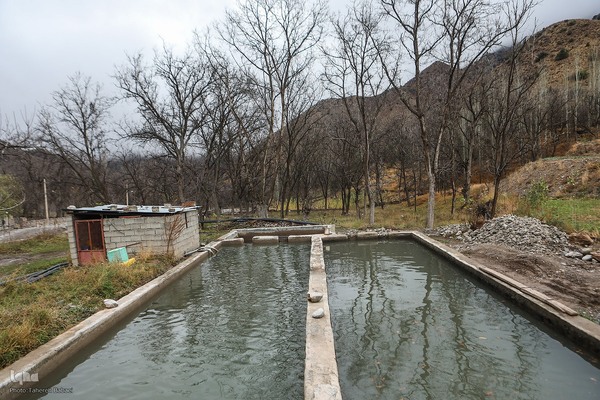 دستاوردهای کمیته امداد در منطقه کلات