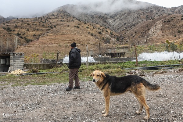 دستاوردهای کمیته امداد در منطقه کلات