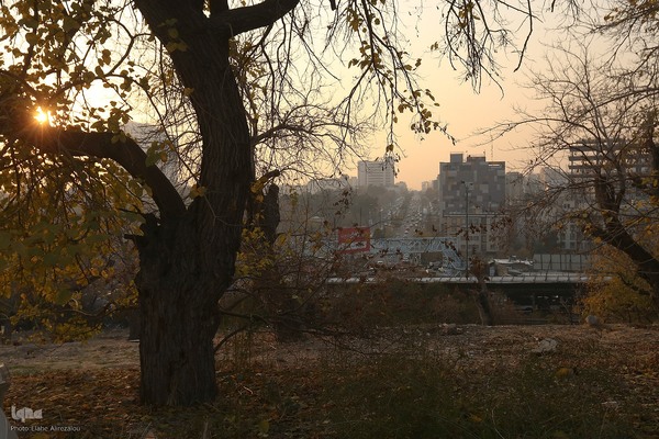 آلودگی هوای تهران