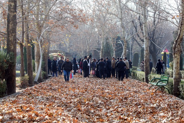 نشست خبری معاون خدمات شهری شهرداری تهران و افتتاح گذر یلدا