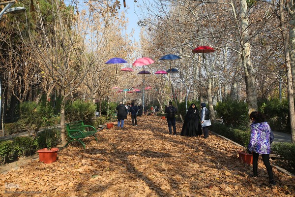 نشست خبری معاون خدمات شهری شهرداری تهران و افتتاح گذر یلدا