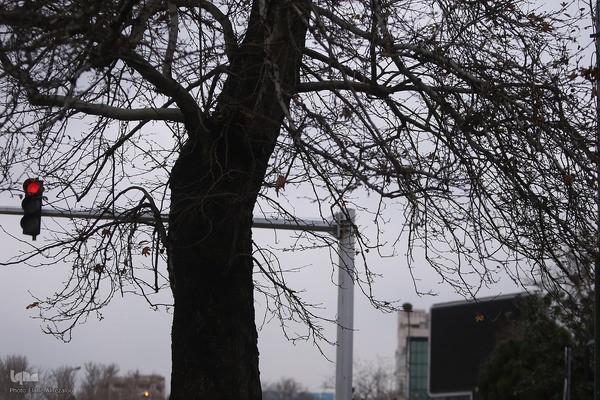 بارش باران زمستانی تهران