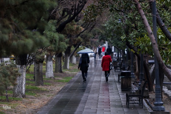 بارش باران زمستانی تهران