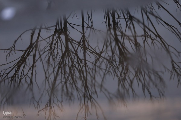 بارش باران زمستانی تهران