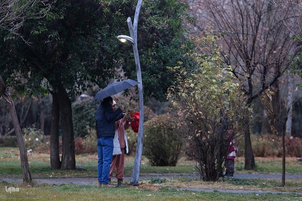 بارش باران زمستانی تهران