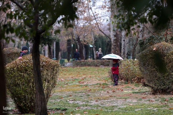بارش باران زمستانی تهران