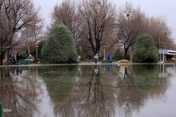 بارش باران زمستانی تهران