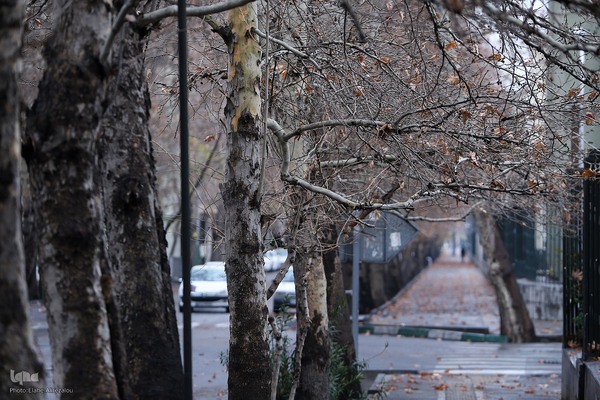 بارش باران زمستانی تهران