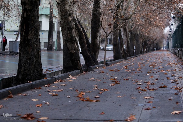 بارش باران زمستانی تهران