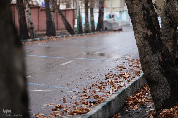 بارش باران زمستانی تهران
