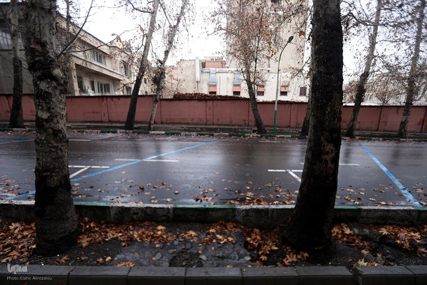 بارش باران زمستانی تهران