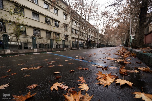 بارش باران زمستانی تهران