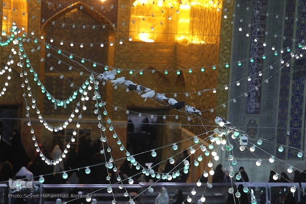 حرم مطهر رضوی در شب ولادت حضرت علی(ع)