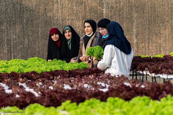 بازدید دانشجویان دانشگاه تهران از مؤسسات تحقیقات کشاورزی کرج‎