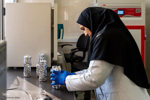 بازدید دانشجویان دانشگاه تهران از مؤسسات تحقیقات کشاورزی کرج‎