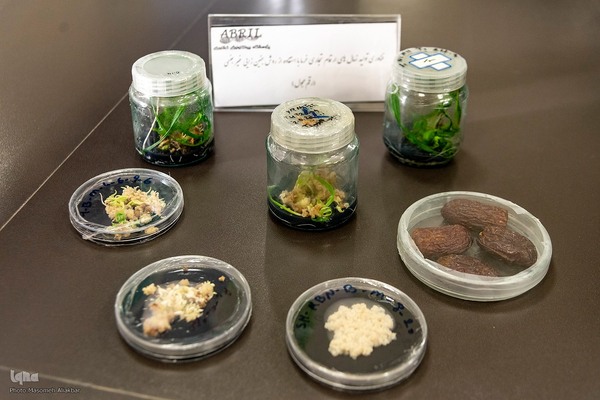 بازدید دانشجویان دانشگاه تهران از مؤسسات تحقیقات کشاورزی کرج‎