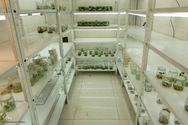 بازدید دانشجویان دانشگاه تهران از مؤسسات تحقیقات کشاورزی کرج‎