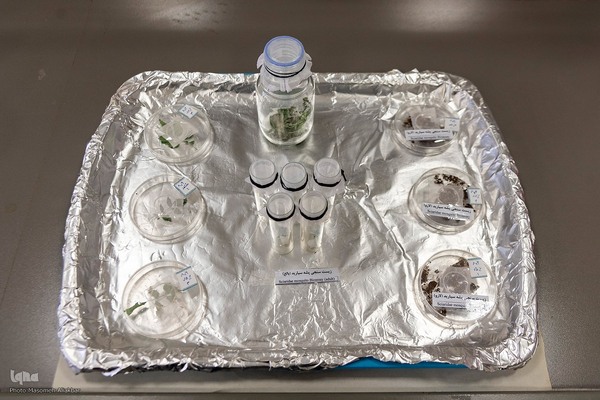 بازدید دانشجویان دانشگاه تهران از مؤسسات تحقیقات کشاورزی کرج‎