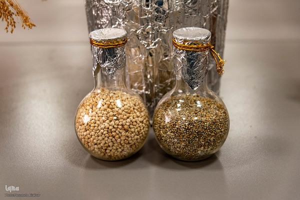 بازدید دانشجویان دانشگاه تهران از مؤسسات تحقیقات کشاورزی کرج‎