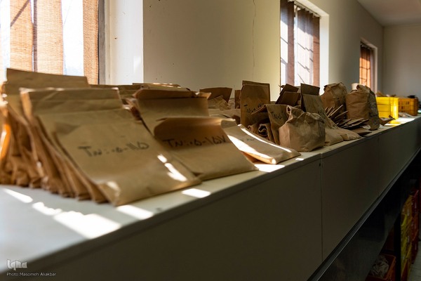 بازدید دانشجویان دانشگاه تهران از مؤسسات تحقیقات کشاورزی کرج‎