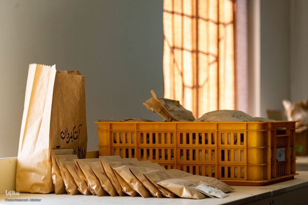 بازدید دانشجویان دانشگاه تهران از مؤسسات تحقیقات کشاورزی کرج‎