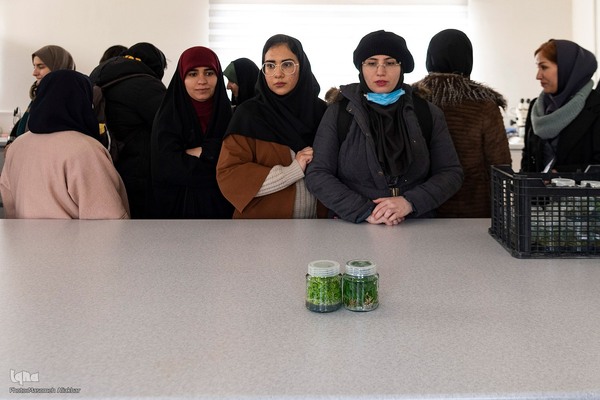 بازدید دانشجویان دانشگاه تهران از مؤسسات تحقیقات کشاورزی کرج‎