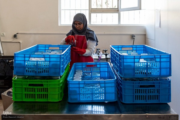 بازدید دانشجویان دانشگاه تهران از مؤسسات تحقیقات کشاورزی کرج‎