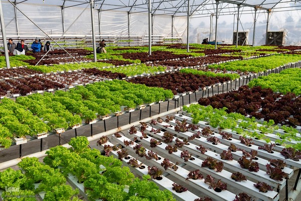 بازدید دانشجویان دانشگاه تهران از مؤسسات تحقیقات کشاورزی کرج‎