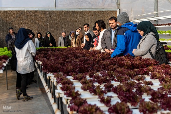 بازدید دانشجویان دانشگاه تهران از مؤسسات تحقیقات کشاورزی کرج‎
