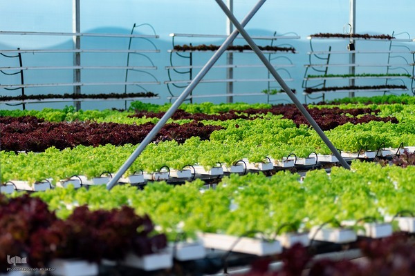 بازدید دانشجویان دانشگاه تهران از مؤسسات تحقیقات کشاورزی کرج‎