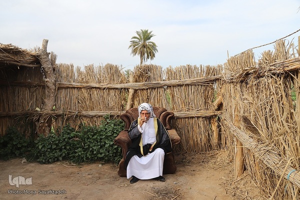برداشت گل شب‌بو در حمیدیه