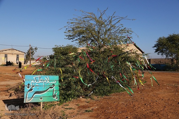 عکس | سفری به دیار عشق