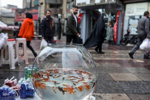 صدای پای بهار