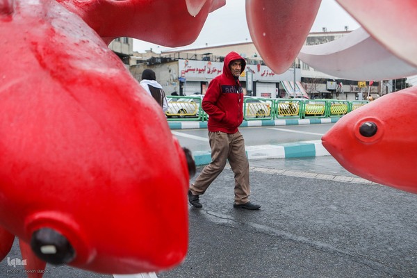 صدای پای بهار