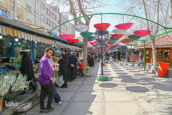 رونق بازار گل و گیاه در آستانه بهار