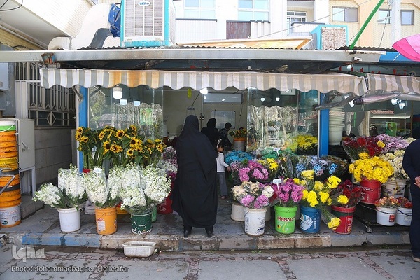 رونق بازار گل و گیاه در آستانه بهار