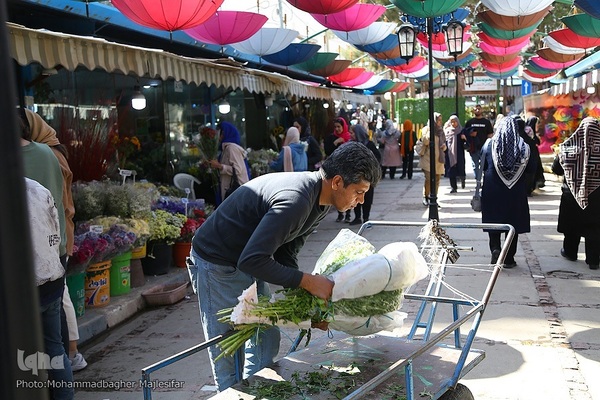 رونق بازار گل و گیاه در آستانه بهار