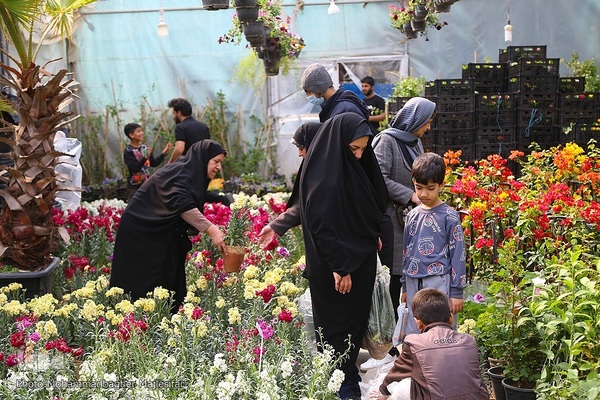 رونق بازار گل و گیاه در آستانه بهار
