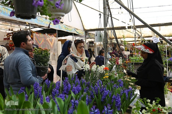 رونق بازار گل و گیاه در آستانه بهار