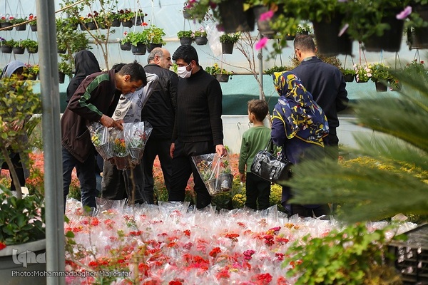رونق بازار گل و گیاه در آستانه بهار