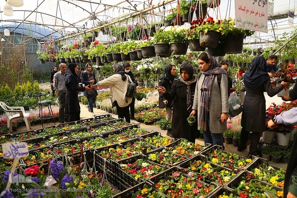 رونق بازار گل و گیاه در آستانه بهار