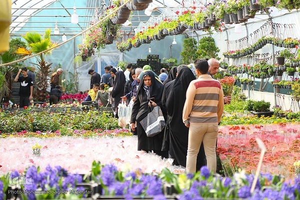 رونق بازار گل و گیاه در آستانه بهار